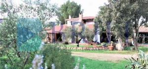 Rustic villa surrounded by Mediterranean scrub