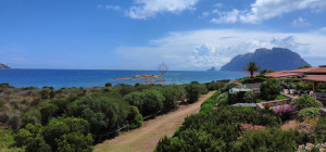Costa Corallina Appartamento fronte mare