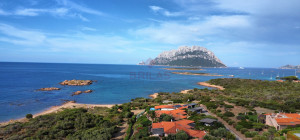 Costa Corallina Appartamento fronte mare