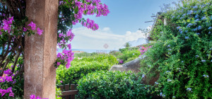 Costa Corallina Appartamento fronte mare