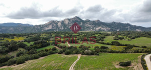 Azienda agricola nel cuore della Gallura