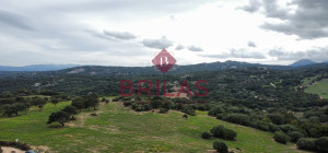 Azienda agricola nel cuore della Gallura