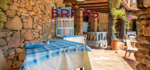 Exclusive commercial property in Golfo Aranci - Baia Caddinas