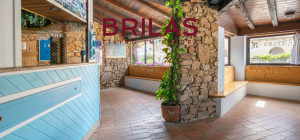 Exclusive commercial property in Golfo Aranci - Baia Caddinas