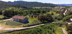 Azienda Agricola di Prestigio con Vigneti e Sugherete