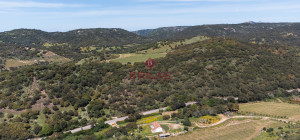 Azienda Agricola di Prestigio con Vigneti e Sugherete