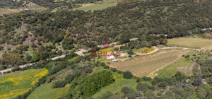 Azienda Agricola di Prestigio con Vigneti e Sugherete