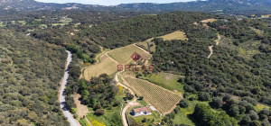 Azienda Agricola di Prestigio con Vigneti e Sugherete