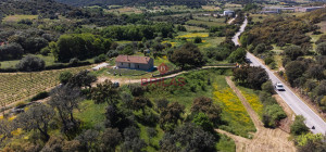 Azienda Agricola di Prestigio con Vigneti e Sugherete
