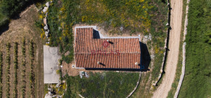 Azienda Agricola di Prestigio con Vigneti e Sugherete