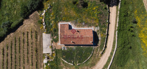 Azienda Agricola di Prestigio con Vigneti e Sugherete