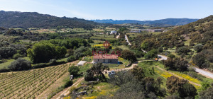 Azienda Agricola di Prestigio con Vigneti e Sugherete