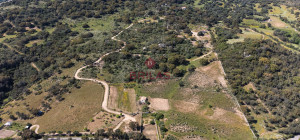 Azienda Agricola di Prestigio con Vigneti e Sugherete
