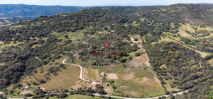Azienda Agricola di Prestigio con Vigneti e Sugherete