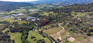 Azienda Agricola di Prestigio con Vigneti e Sugherete