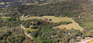 Azienda Agricola di Prestigio con Vigneti e Sugherete