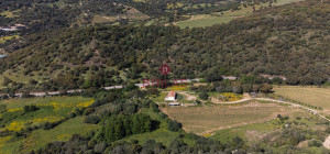 Azienda Agricola di Prestigio con Vigneti e Sugherete