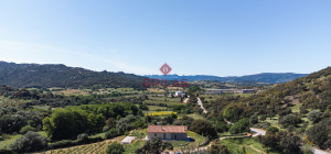 Azienda Agricola di Prestigio con Vigneti e Sugherete