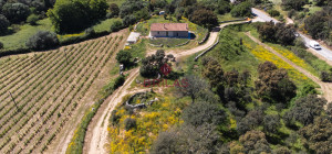 Azienda Agricola di Prestigio con Vigneti e Sugherete