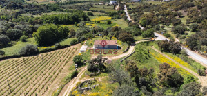 Azienda Agricola di Prestigio con Vigneti e Sugherete