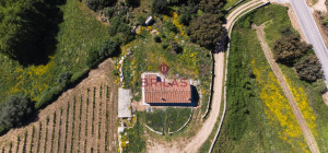 Azienda Agricola di Prestigio con Vigneti e Sugherete