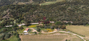 Azienda Agricola di Prestigio con Vigneti e Sugherete