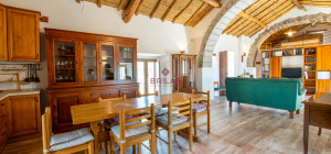 Azienda Agricola di Prestigio con Vigneti e Sugherete