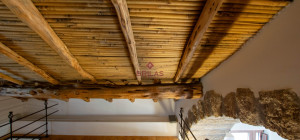 Azienda Agricola di Prestigio con Vigneti e Sugherete