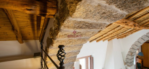 Azienda Agricola di Prestigio con Vigneti e Sugherete