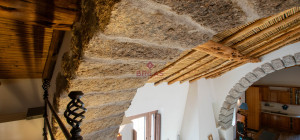 Azienda Agricola di Prestigio con Vigneti e Sugherete