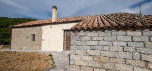 Azienda Agricola di Prestigio con Vigneti e Sugherete