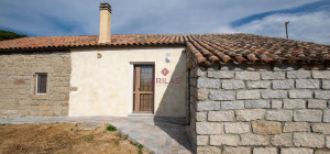 Azienda Agricola di Prestigio con Vigneti e Sugherete