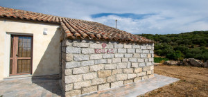 Azienda Agricola di Prestigio con Vigneti e Sugherete