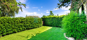 Capo Ceraso - Ampio Bilocale con Giardino Privato