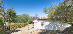 Porto Istana - Sea View Stazzo with Large Grounds