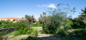 Villa Fronte Mare a Pittulongu (Olbia) - Ottima Posizione con Potenziale di Ristrutturazione