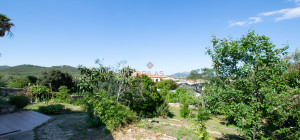 Villa Fronte Mare a Pittulongu (Olbia) - Ottima Posizione con Potenziale di Ristrutturazione