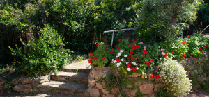 Villa Fronte Mare a Pittulongu (Olbia) - Ottima Posizione con Potenziale di Ristrutturazione