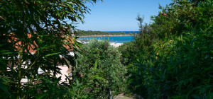 Villa Fronte Mare a Pittulongu (Olbia) - Ottima Posizione con Potenziale di Ristrutturazione