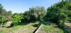 Villa Fronte Mare a Pittulongu (Olbia) - Ottima Posizione con Potenziale di Ristrutturazione
