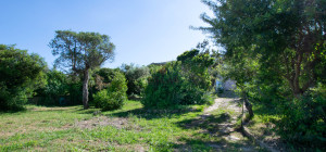 Villa Fronte Mare a Pittulongu (Olbia) - Ottima Posizione con Potenziale di Ristrutturazione