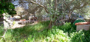 Golfo Aranci: Large villa to renovate between two beaches