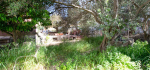 Golfo Aranci: Large villa to renovate between two beaches