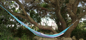 Gallura: a villa immersed in an oasis of peace with B&B potential.