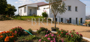 Gallura: a villa immersed in an oasis of peace with B&B potential.