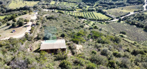 Villa al rustico con un ettaro vicino ad Olbia