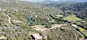Villa al rustico con un ettaro vicino ad Olbia
