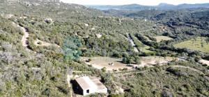 Villa al rustico con un ettaro vicino ad Olbia