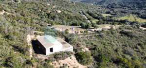 Villa al rustico con un ettaro vicino ad Olbia