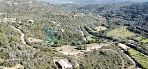 Villa al rustico con un ettaro vicino ad Olbia